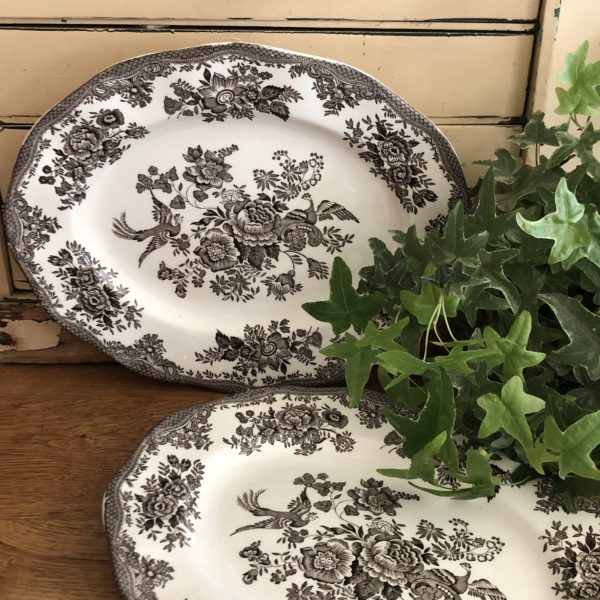 vintage wedgwood asiatic pheasants’ platters